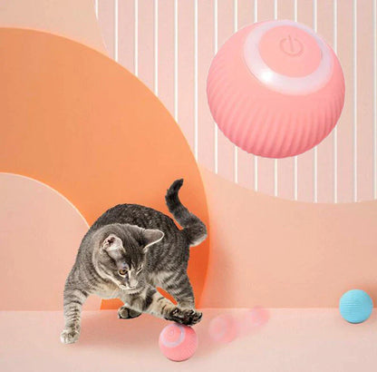 PetVerse.Co Interactive Ball