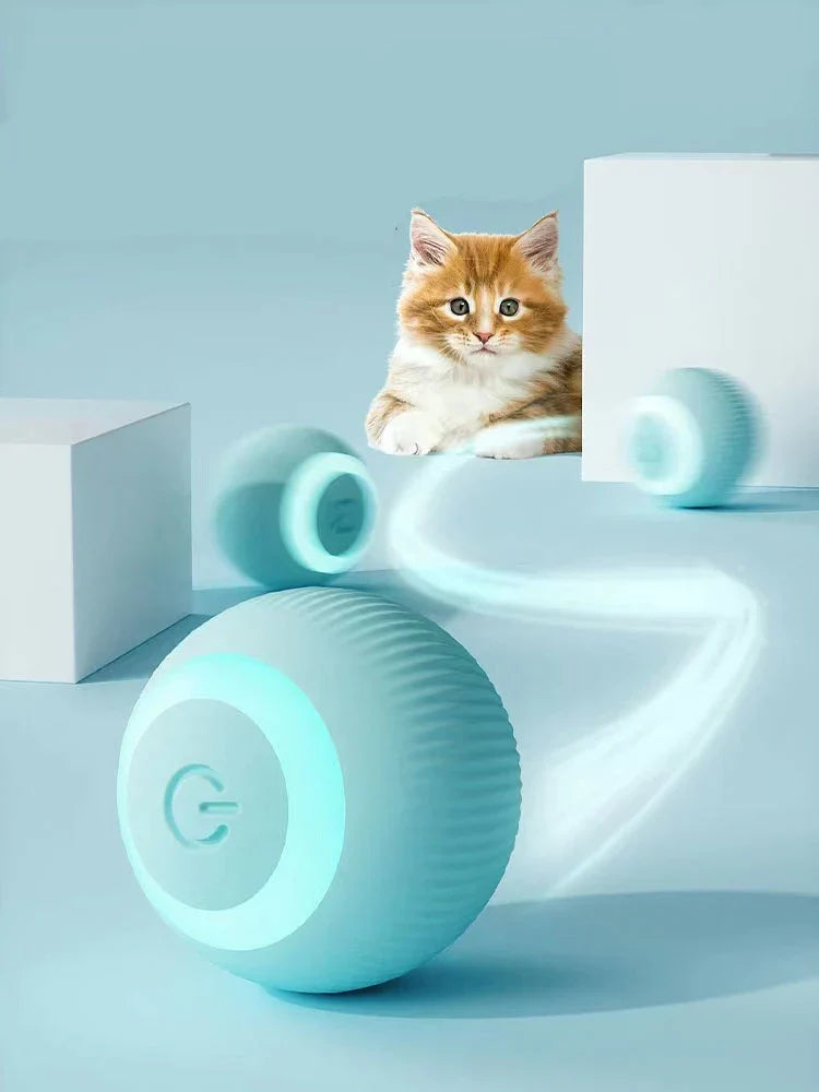 PetVerse.Co Interactive Ball