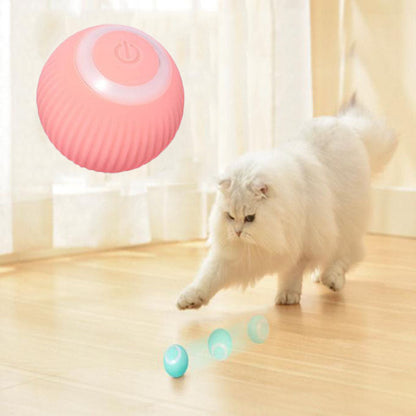 PetVerse.Co Interactive Ball